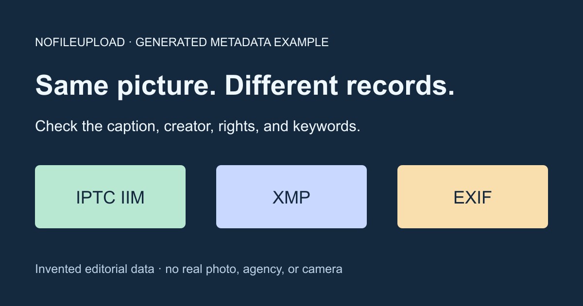 Generated illustration showing IPTC IIM, XMP, and EXIF records in the same picture; no real photo or camera capture